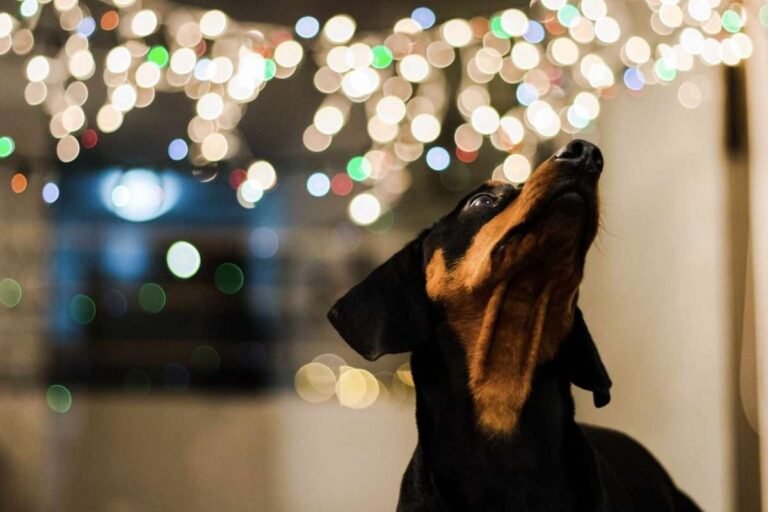 5 Christmas Mantle Styles to Copy