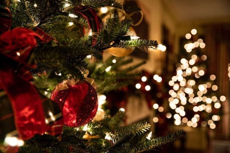 6 Beautiful Christmas Trees to Inspire You