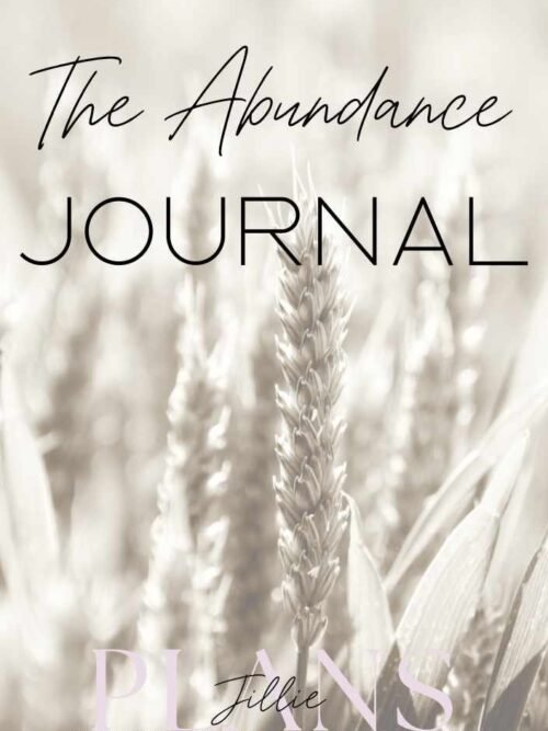 The Abundance Journal